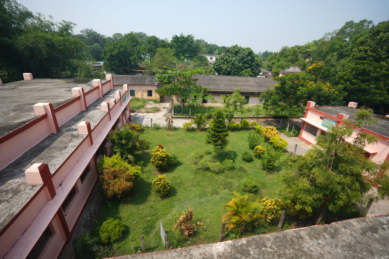 Beautiful Garden
